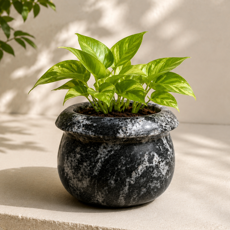 Planter