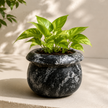 Planter
